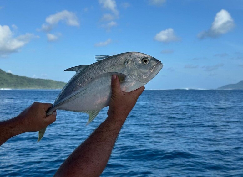 A person holding a fish against a backdrop of a calm sea and distant land. 1