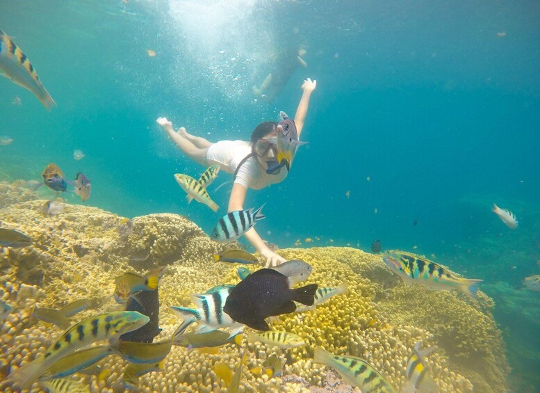 Picture 7 for Activity 3D2N Banyuwangi Trip: Mount Ijen, Baluran, Djawatan, & More! 2