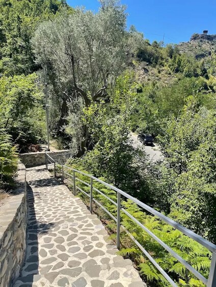 A stone pathway with metal railings, surrounded by lush greenery and trees. 4