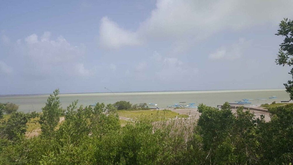 A coastal landscape with a clear sky, a body of water, and several boats. 3