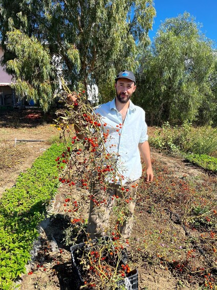 A person standing in a garden with a variety of plants and trees, including a bush with red berries. 2