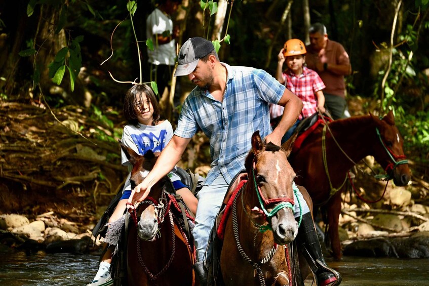 A person riding a horse through a forested area with a stream. 1