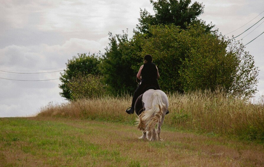 A person riding a white horse on a grassy field with trees in the background. 3
