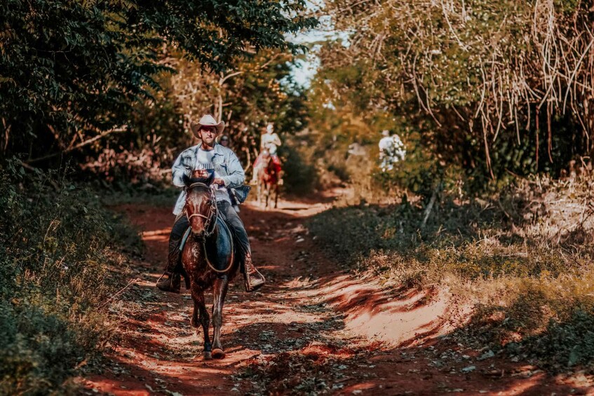 A person riding a horse on a dirt path surrounded by trees. 2