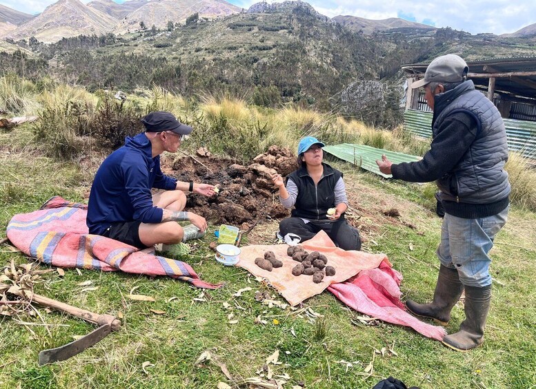 Three people outdoors with a pile of soil and some potatoes on a blanket. 5