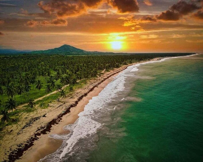 A coastal landscape with a beach, palm trees, and a mountain in the distance. 4