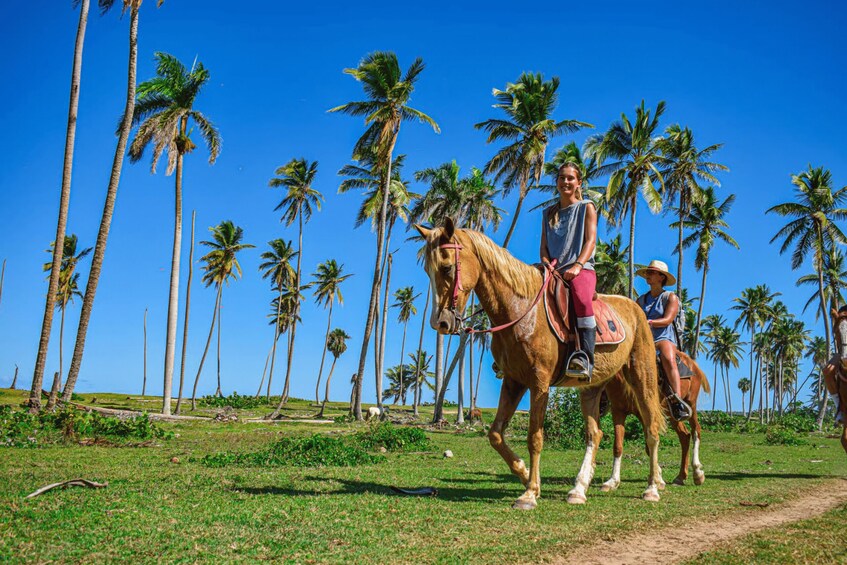 A person riding a horse on a dirt path with palm trees in the background. 2