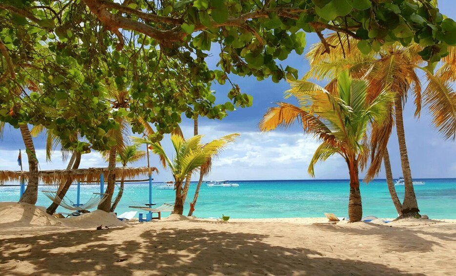 A beach with palm trees, a hammock, and a clear blue sea. 3