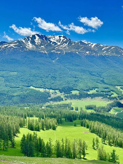 A mountain range with snow-capped peaks, a forested valley, and a clear blue sky. 3