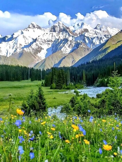 A mountain range with snow-capped peaks, a river, and a meadow with wildflowers. 1
