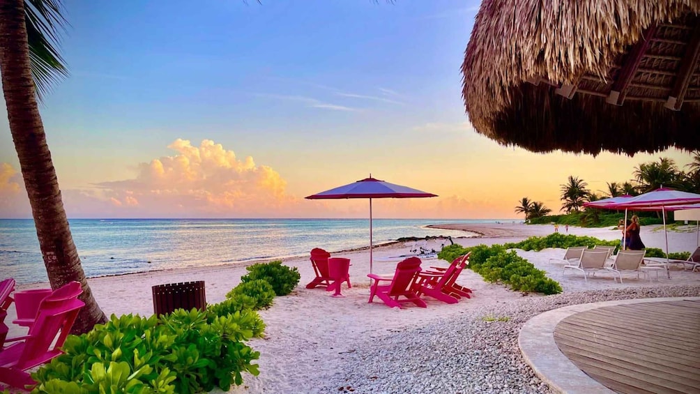 A beach with palm trees, a thatched-roof structure, and red lounge chairs. 1