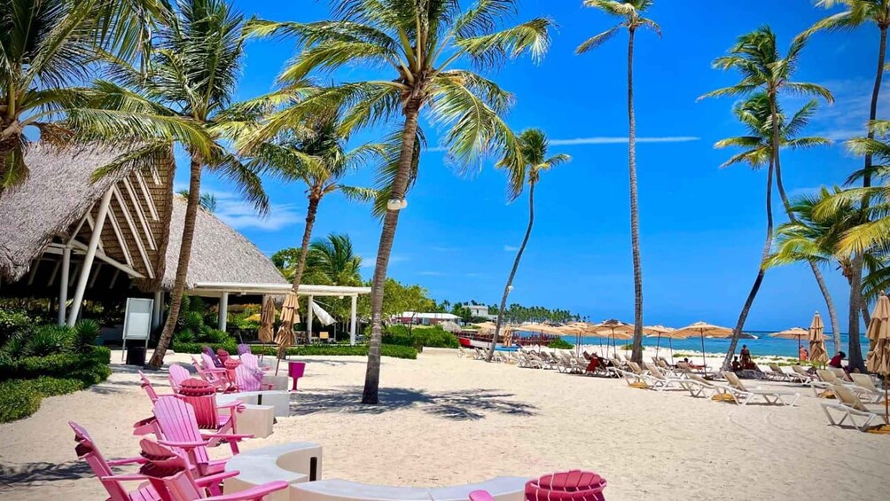 A beach with palm trees, lounge chairs, and a thatched-roof structure. 4