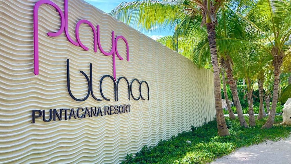 A resort sign with palm trees and a sandy path. 5