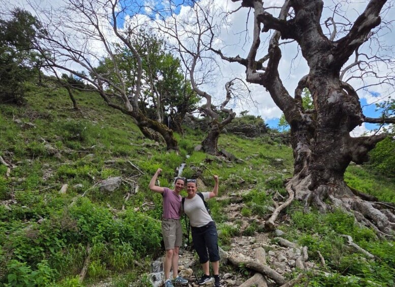 Two people standing on a rocky hillside with a large, gnarled tree in the background. 3