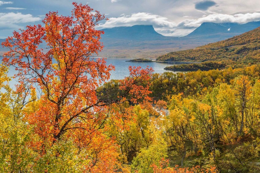 A mountainous landscape with autumn foliage, a lake, and a distant mountain range. 2