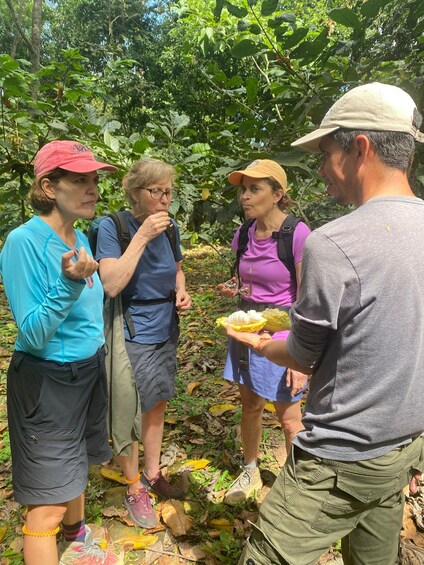 Picture 4 for Activity Cacao Sightseeing Tour: Sierra Nevada Experience 2