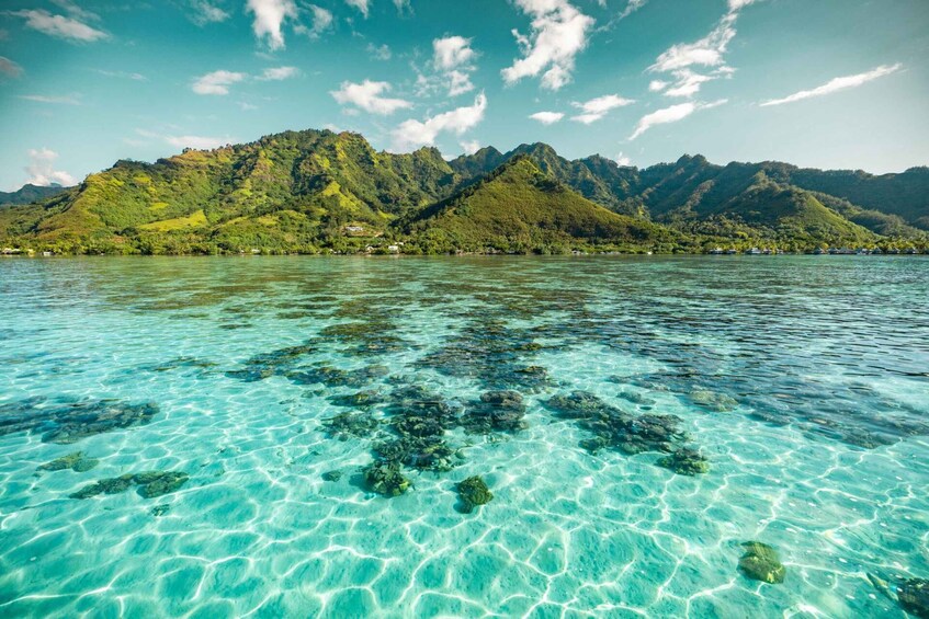 A clear turquoise sea with visible coral formations, a mountain range, and a few buildings on the shore. 5