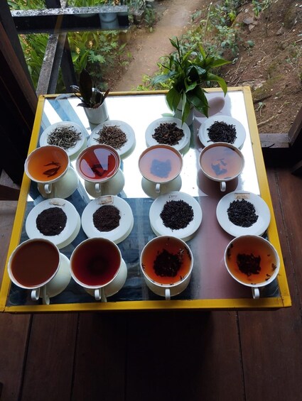 A table with various cups of tea and loose tea leaves, surrounded by greenery. 5