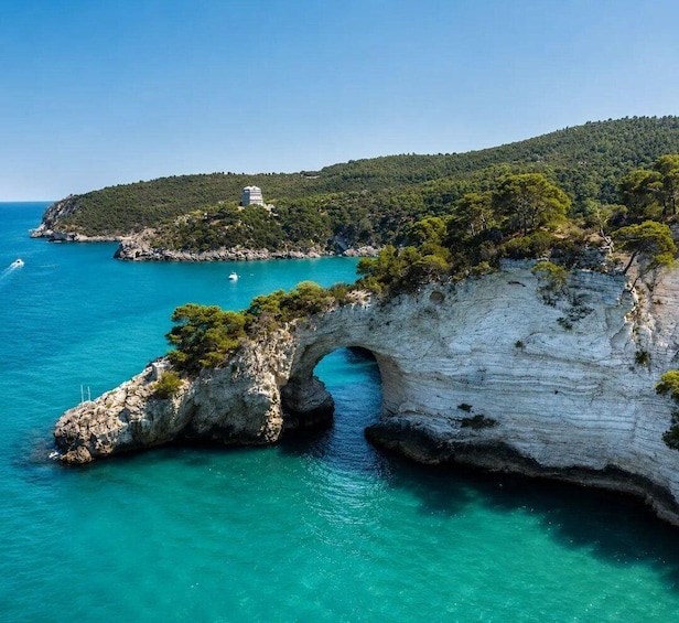 A coastal landscape with a prominent white rock arch, clear turquoise waters, and a hill with dense greenery. 4