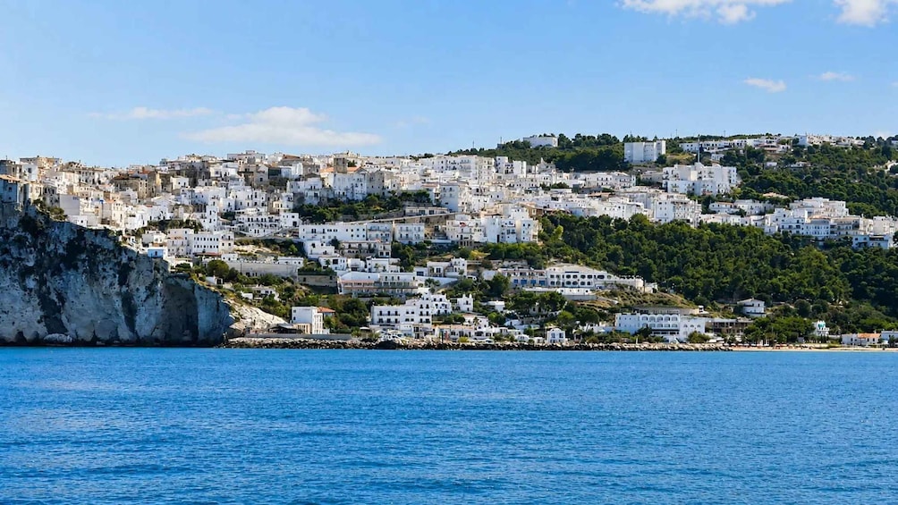 A coastal town with white buildings, a rocky coastline, and a clear blue sea. 5