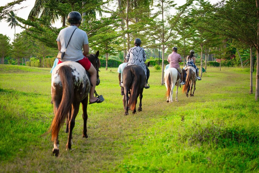 A group of people horseback riding on a grassy path surrounded by trees. 1