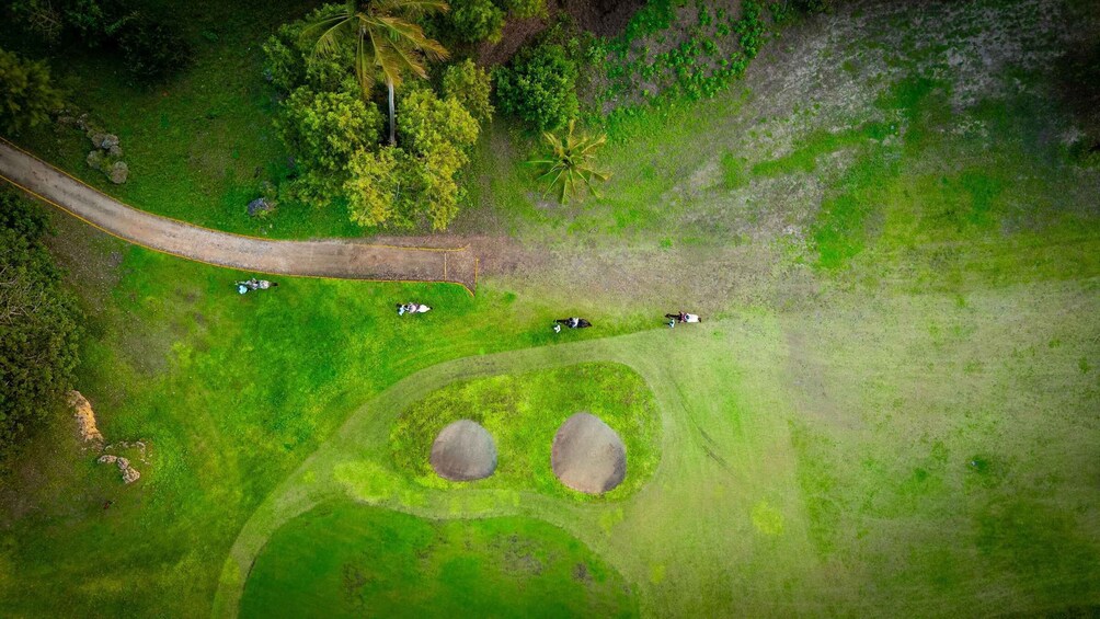 An aerial view of a green field with a winding road, several cows grazing, and two large mounds. 5
