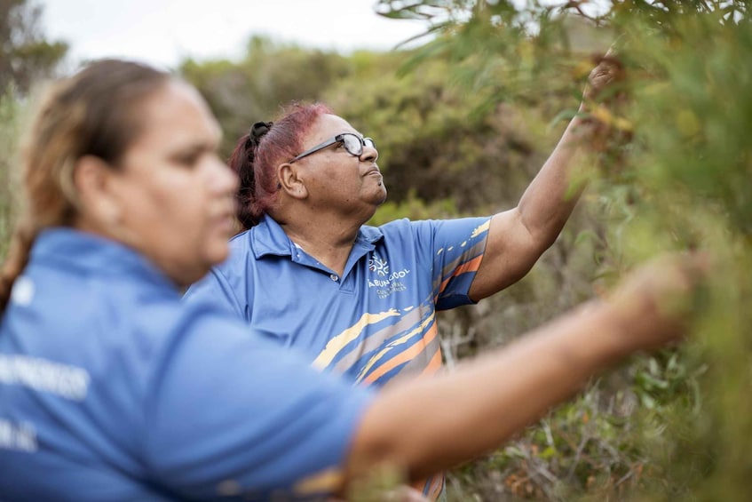Two individuals wearing blue shirts with orange and yellow stripes, engaged in an outdoor activity, surrounded by greenery. 1