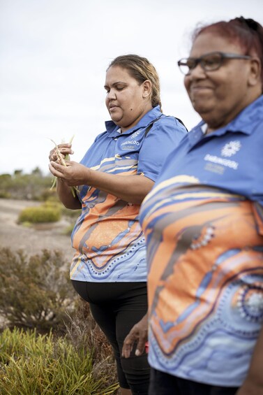 Two individuals in outdoor attire examining a plant. 3