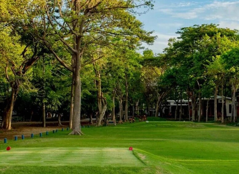 A well-maintained golf course with lush green grass, tall trees, and a clear sky. 5