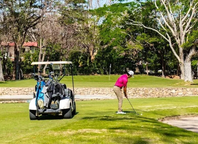 A golfer on a green with a golf cart and trees in the background. 2