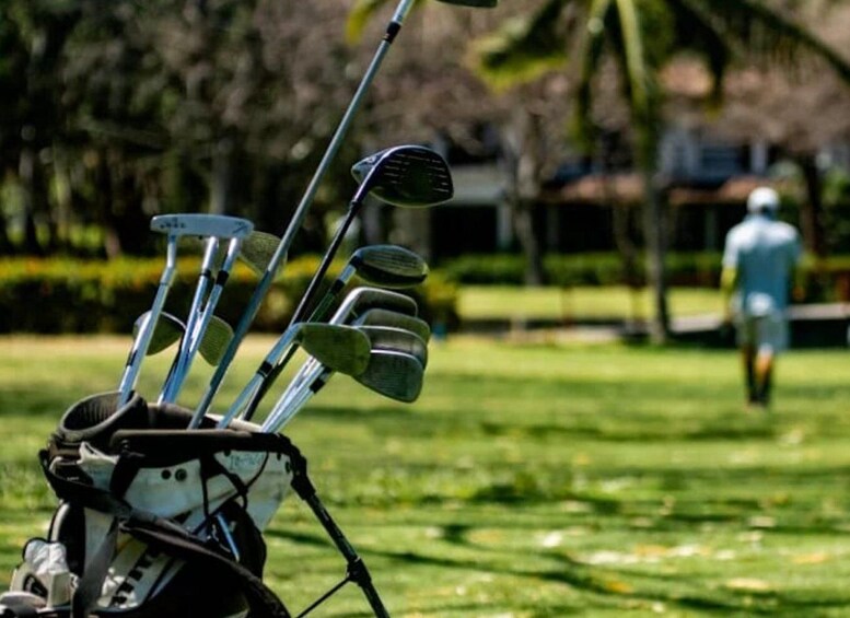 A golf bag with multiple clubs on a grassy field with a person walking in the background. 3