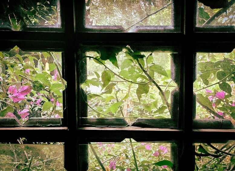 A window with a view of green foliage and pink flowers. 2