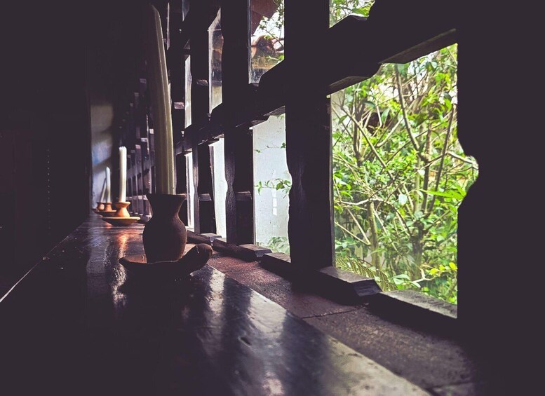 A wooden interior with a window overlooking a green, leafy outdoor area. 4