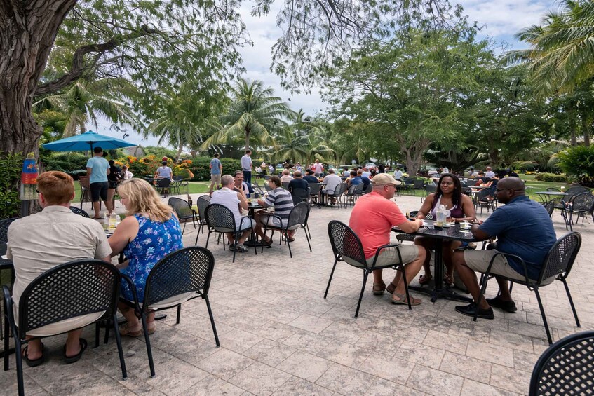 People dining outdoors at tables with chairs, surrounded by trees and a blue umbrella. 4
