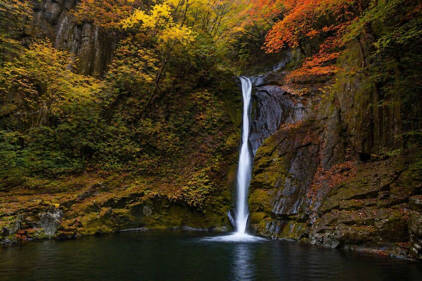 A waterfall in a forested area with autumn foliage. 1