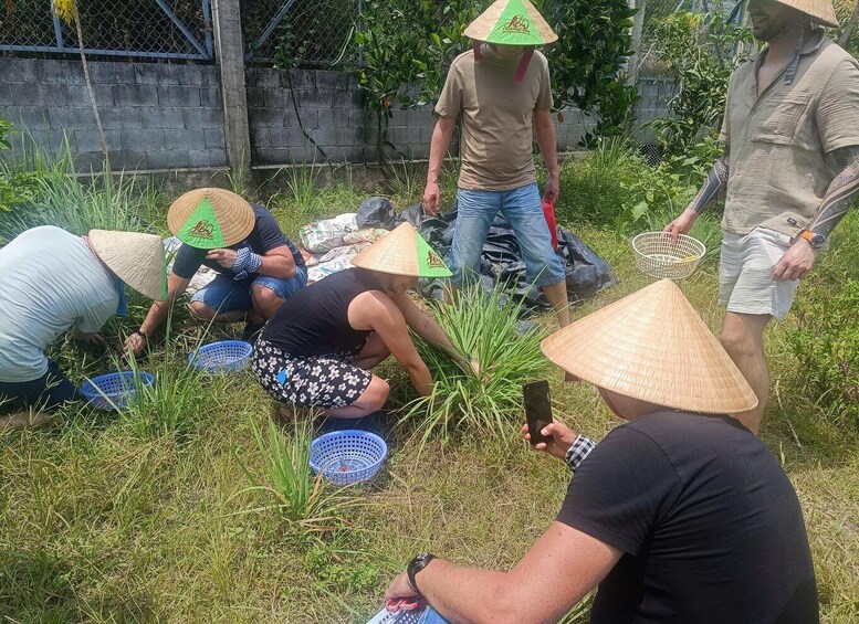 People harvesting plants in a grassy area with baskets and a smartphone. 5