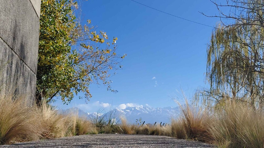 A gravel road with a mountain range in the distance, surrounded by dry grass and trees. 1
