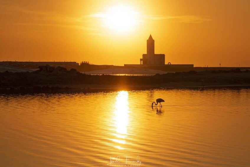A sunset over a body of water with a silhouette of a building and a bird. 1