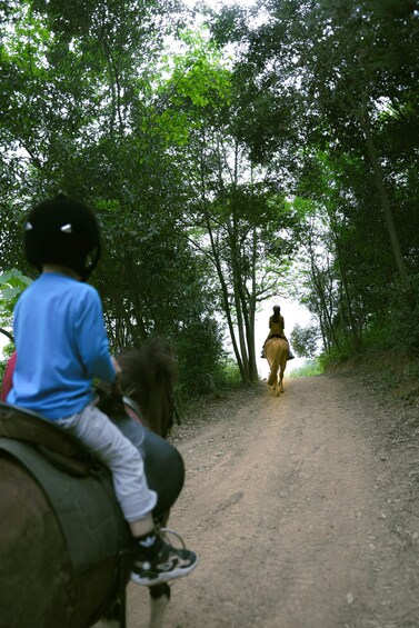 Two people riding an elephant down a dirt path surrounded by trees. 2