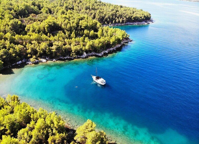 A boat anchored in a turquoise bay surrounded by dense green forest. 5