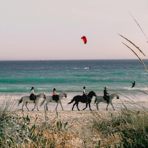 A beach with people riding horses and a person kite surfing in the background. 5