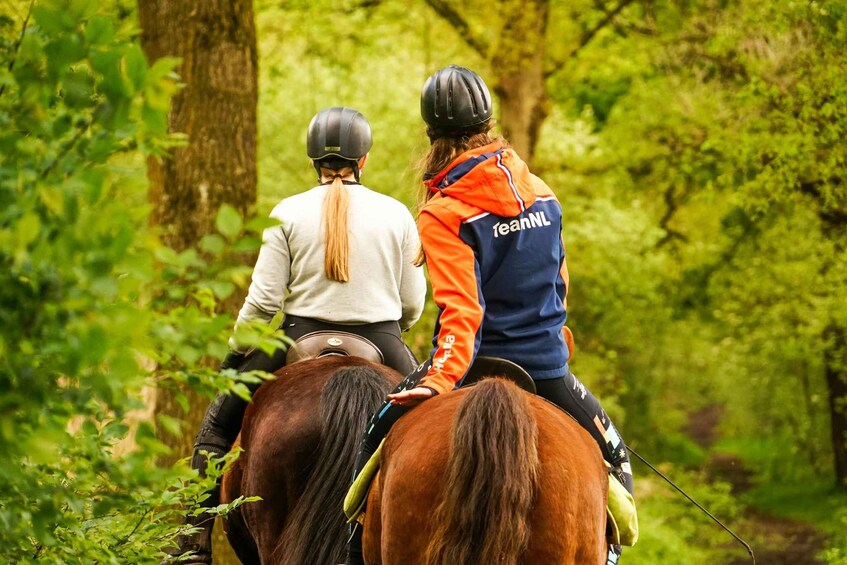 Two people riding horses through a forested area. 2