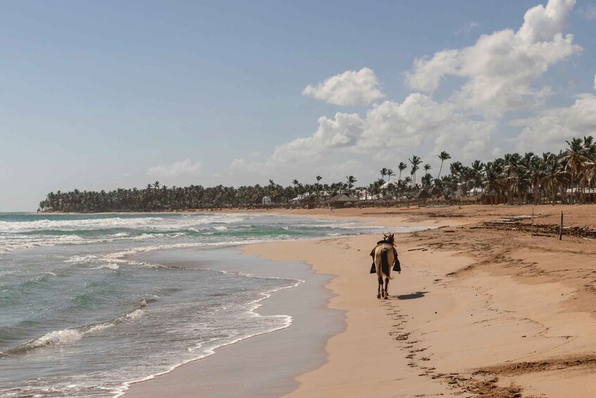 A beach with a horse and rider walking along the shore. 3