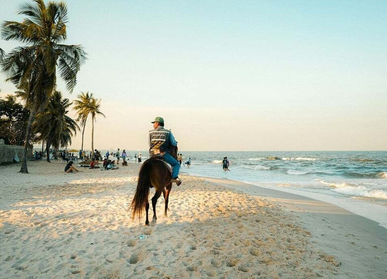 A beach with people, palm trees, and a person riding a horse. 1