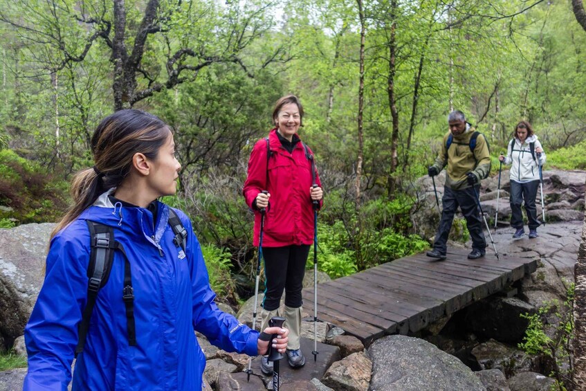 Picture 6 for Activity Stavanger: Preikestolen Sunrise Hike with Buffet Breakfast 2