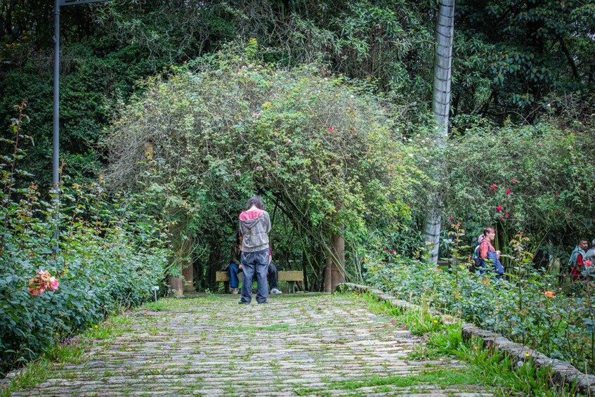 A cobblestone path leading through a lush garden with a wooden bench and people sitting. 2
