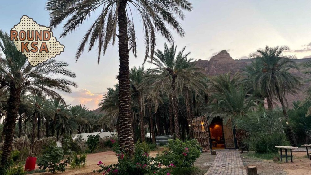 A palm tree-lined pathway leading to a building entrance, with a sign reading 'ROUND KSA' in the foreground. 1