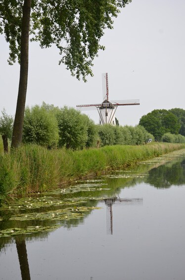 A windmill by a calm river with lush greenery and trees. 2