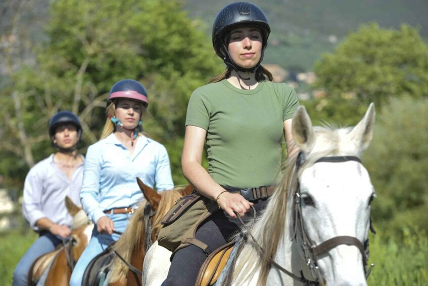 Three people riding horses in a grassy area with trees in the background. 2