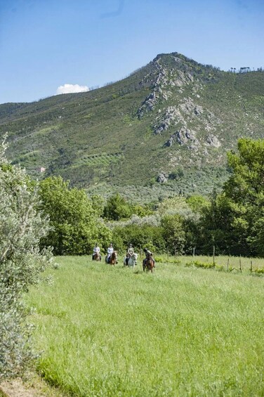 A group of people riding horses in a grassy field with a mountain in the background. 3